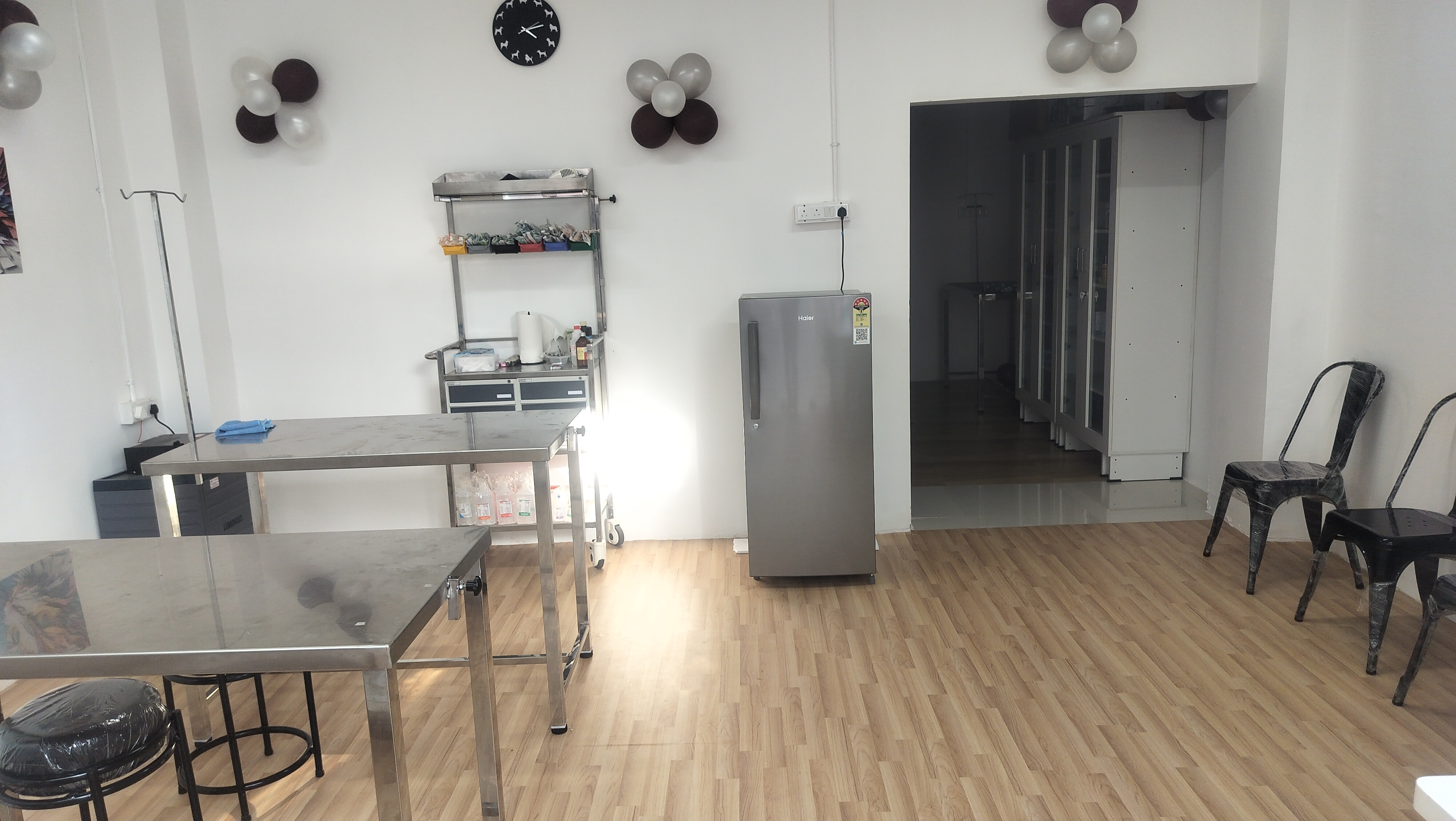 Modern veterinary clinic interior